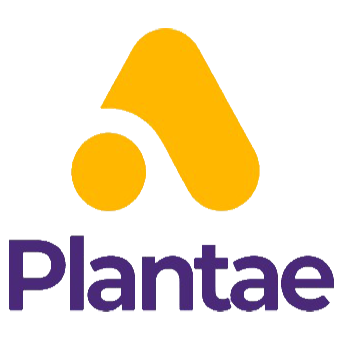 Plantae